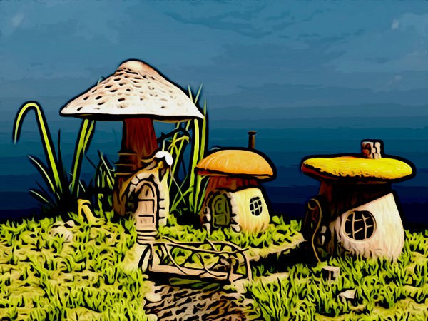 Mushroom Home by W Scott